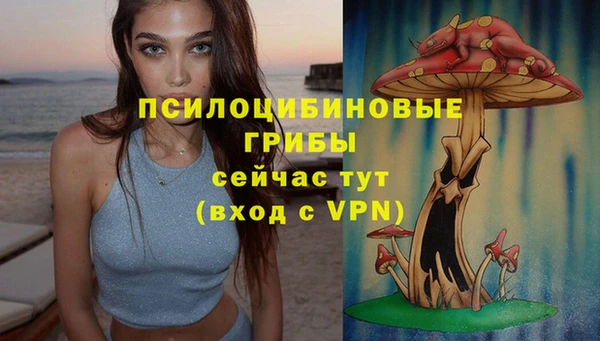 ECSTASY Михайловка